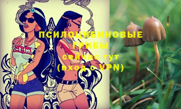 молекула духа Абинск