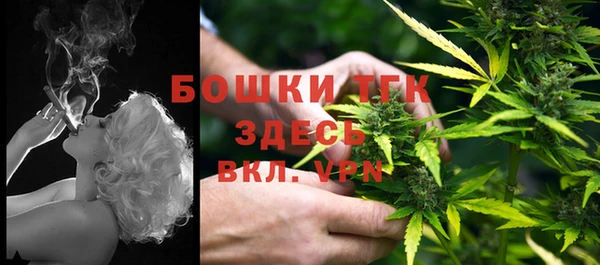 молекула духа Абинск