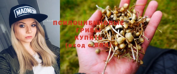 наркотики Алексеевка