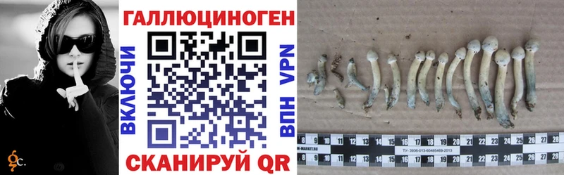 Галлюциногенные грибы мицелий Туринск